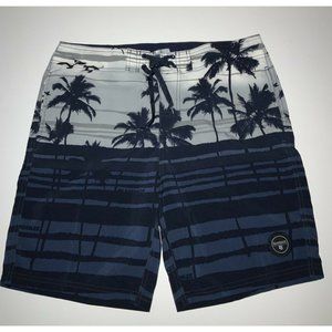 Mens Island Haze Swim & Surf Board Shorts Swim